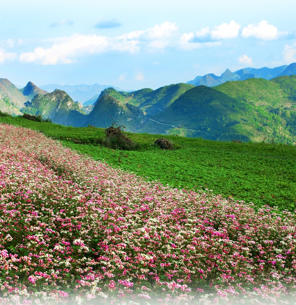 Dong Van Karst Plateau