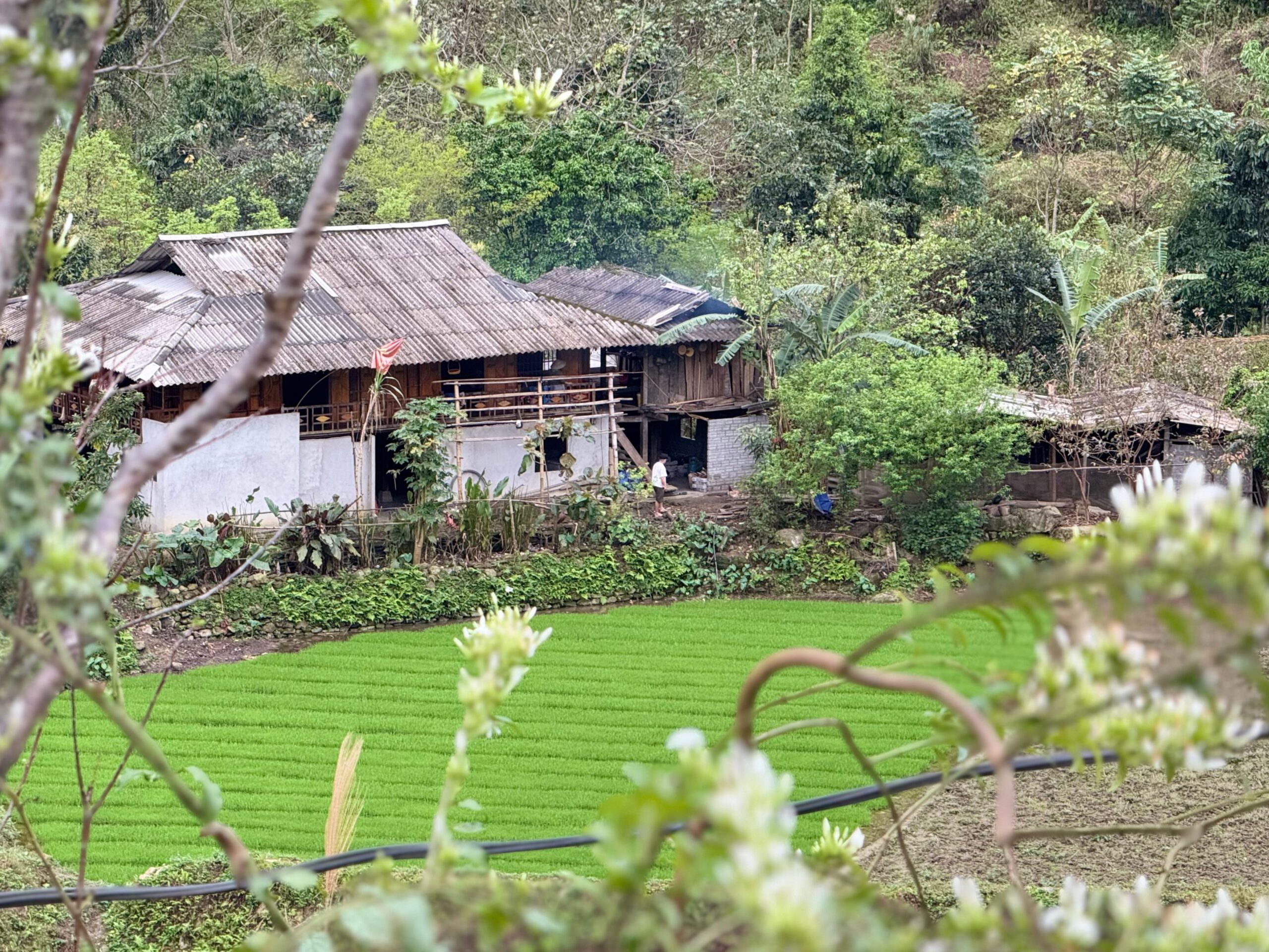 3 days 2 night Ha Giang Loop 3 days 2 night Ha Giang Loop