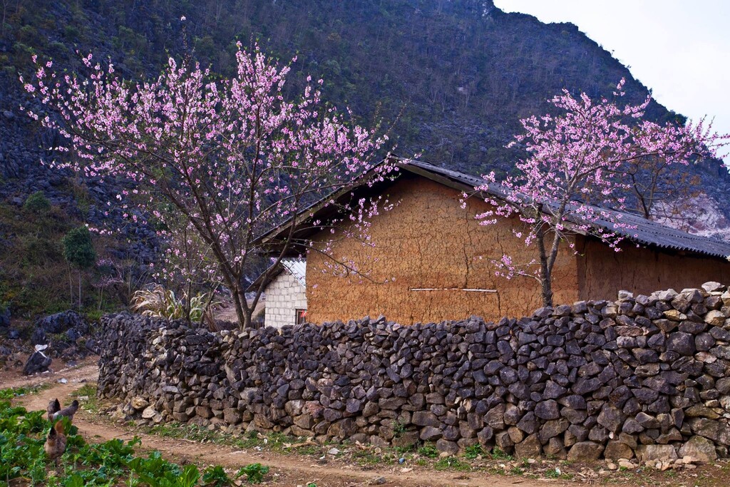 3 days 2 night Ha Giang Loop 3 days 2 night Ha Giang Loop