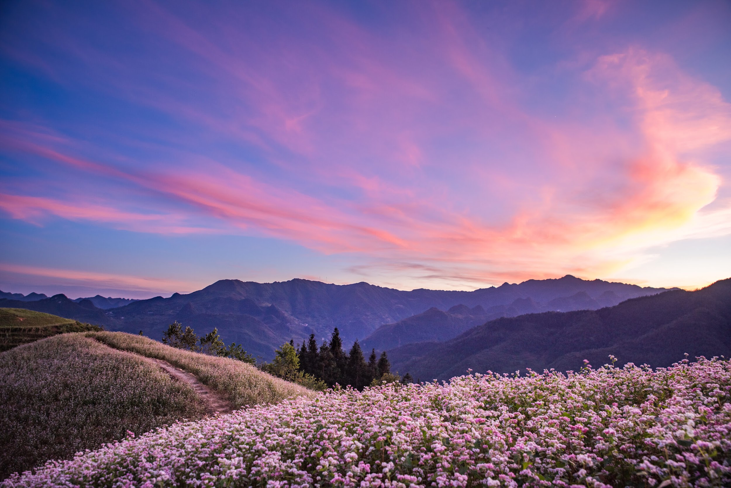 Best Time to Visit Ha Giang