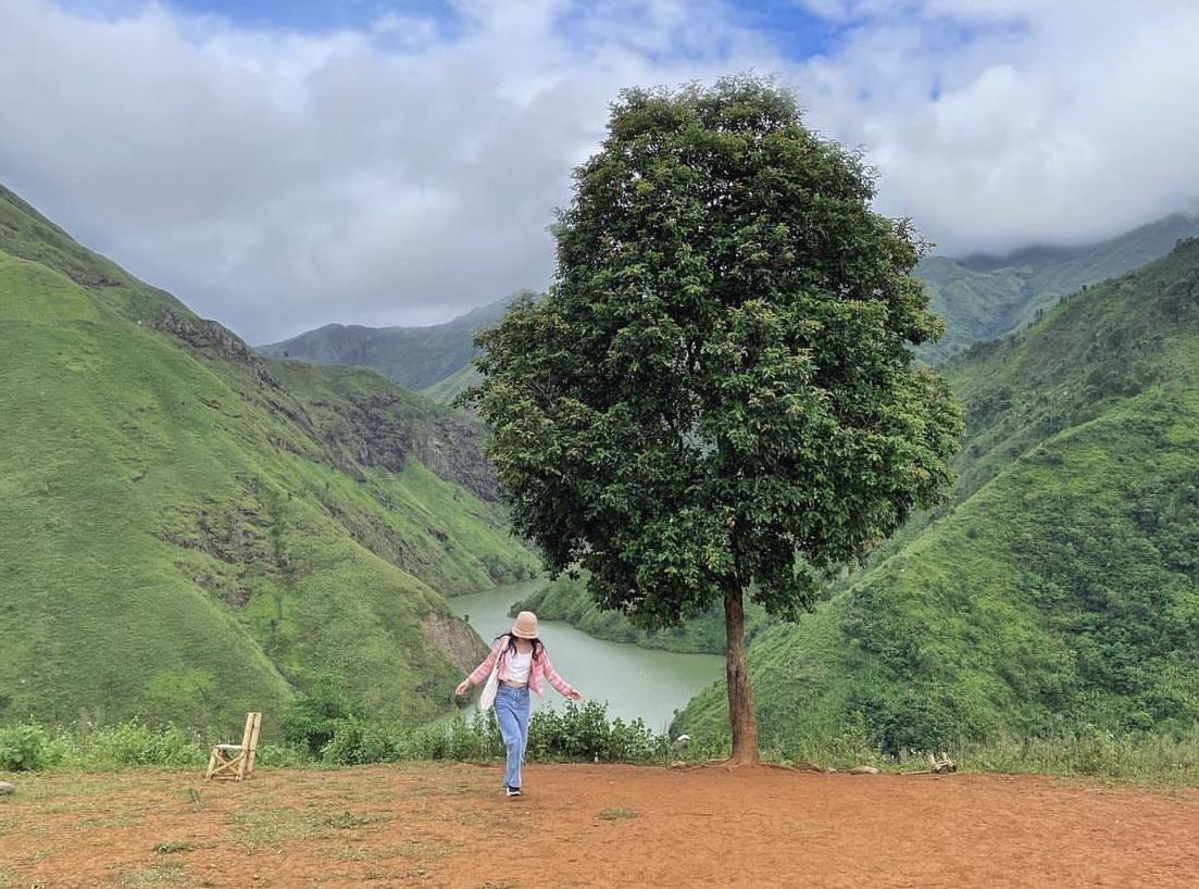 Ha Giang Lonely Tree