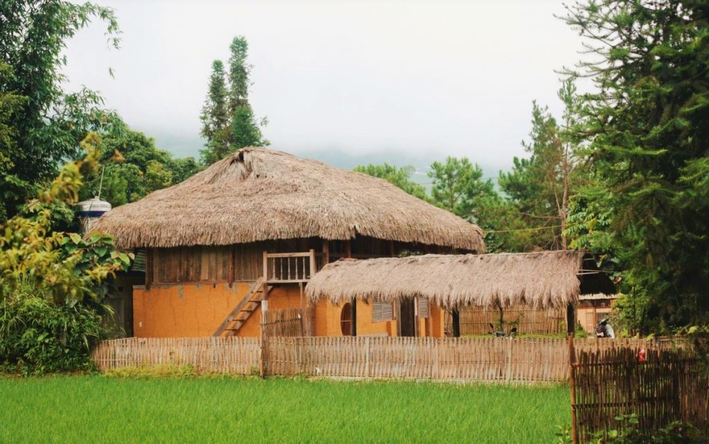 Ha Giang Lonely Tree