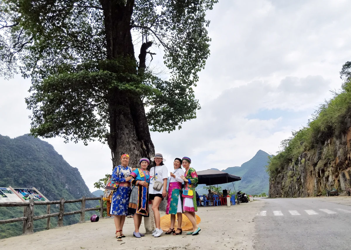 Ha Giang Lonely Tree