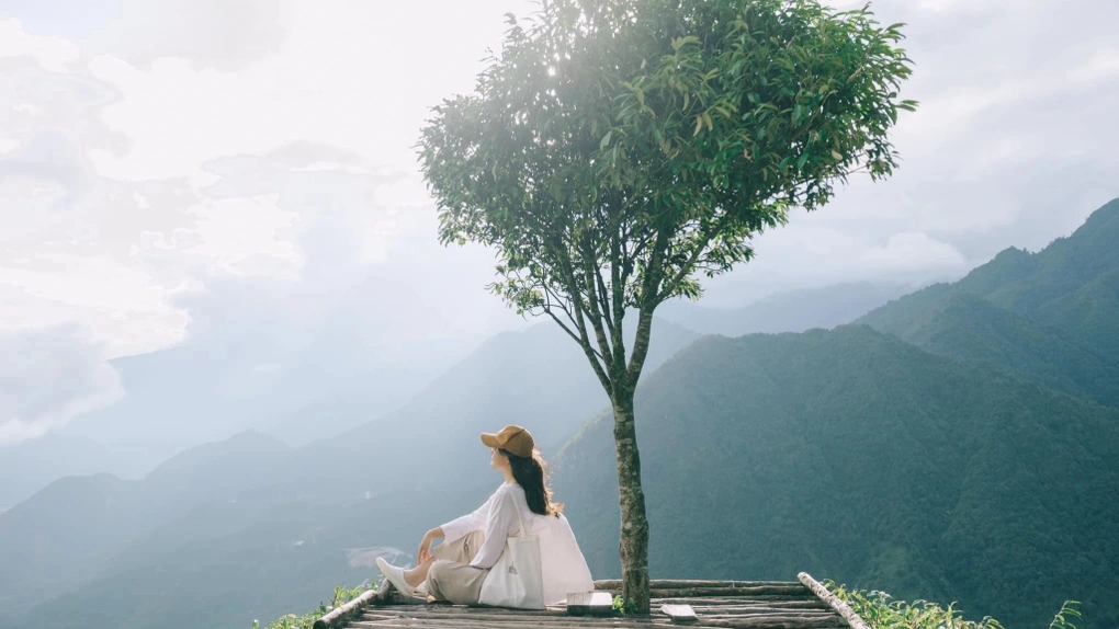 Ha Giang Lonely Tree