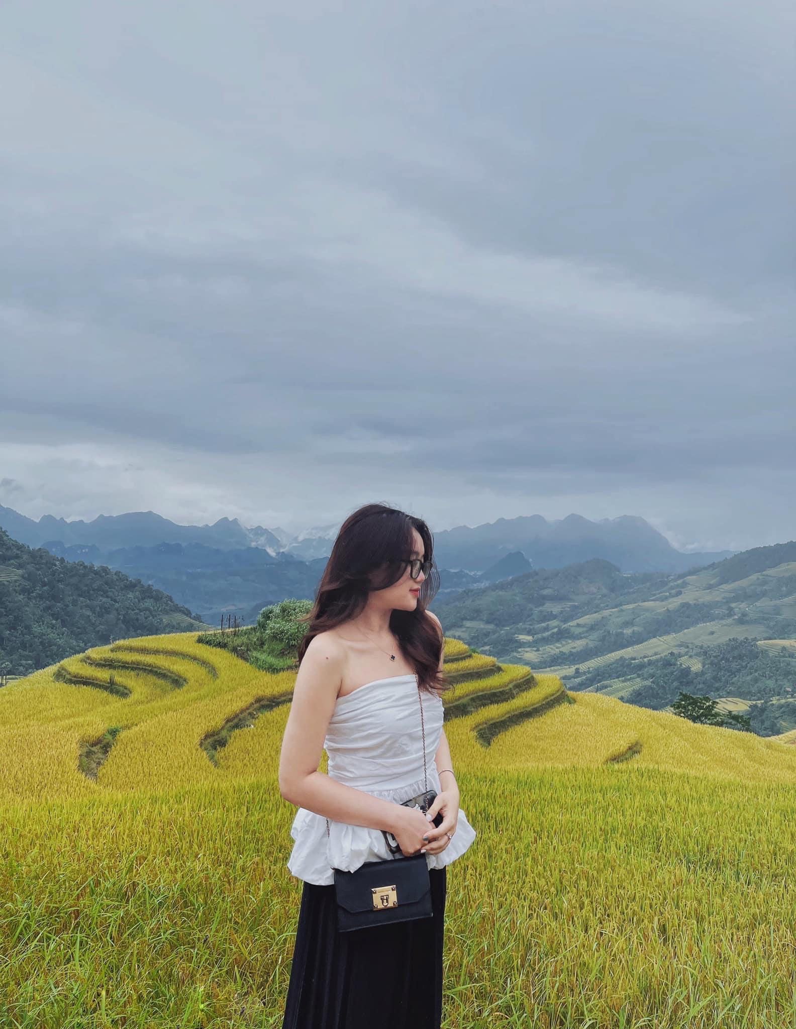 The golden ripe terraced fields of Hoang Su Phi attract many tourists for sightseeing and photos.