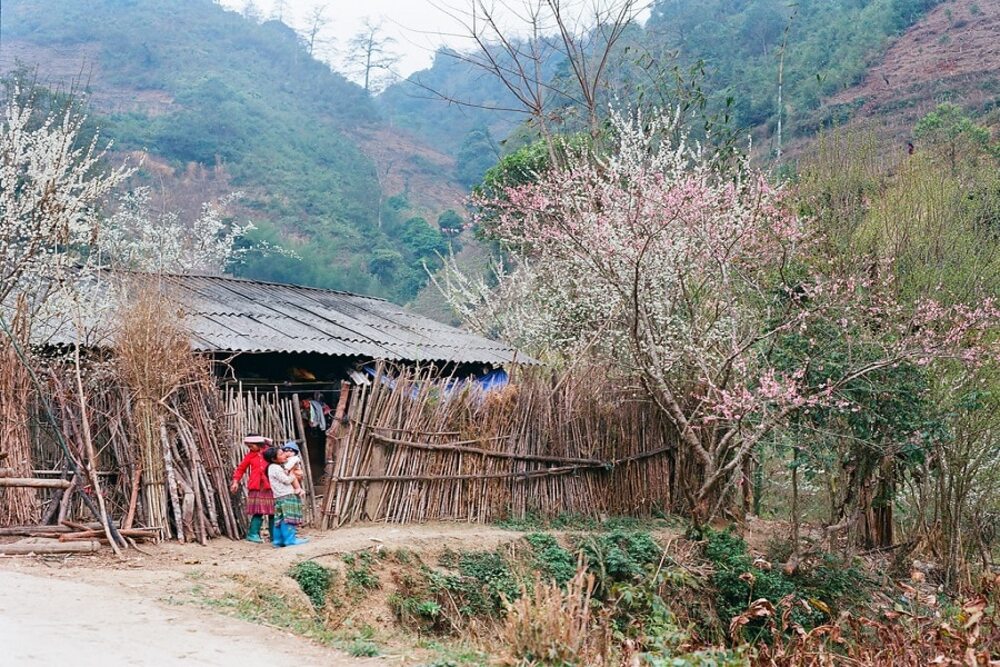 things to do in Ha Giang