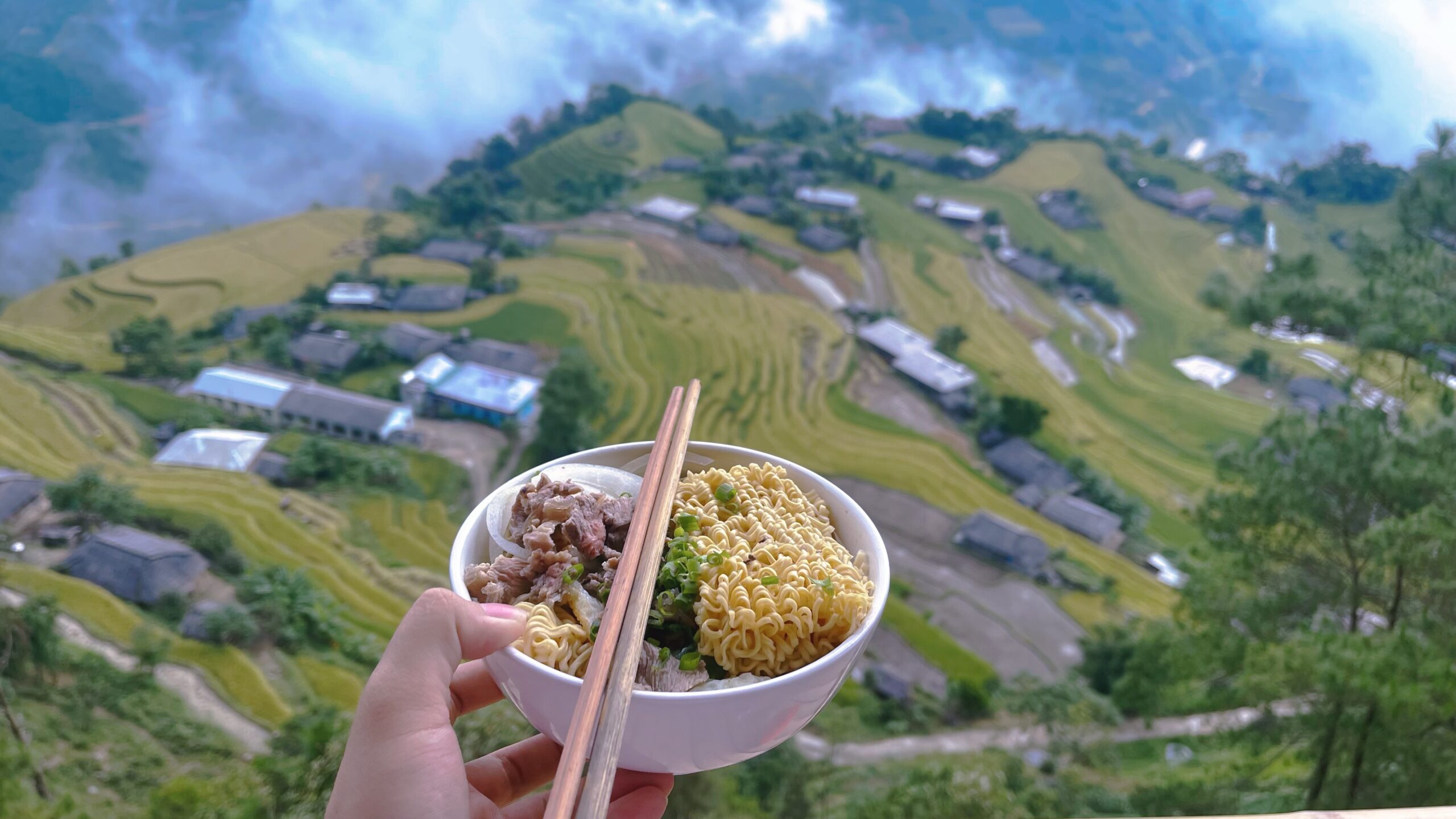 Ha Giang golden rice season Ha Giang golden rice season