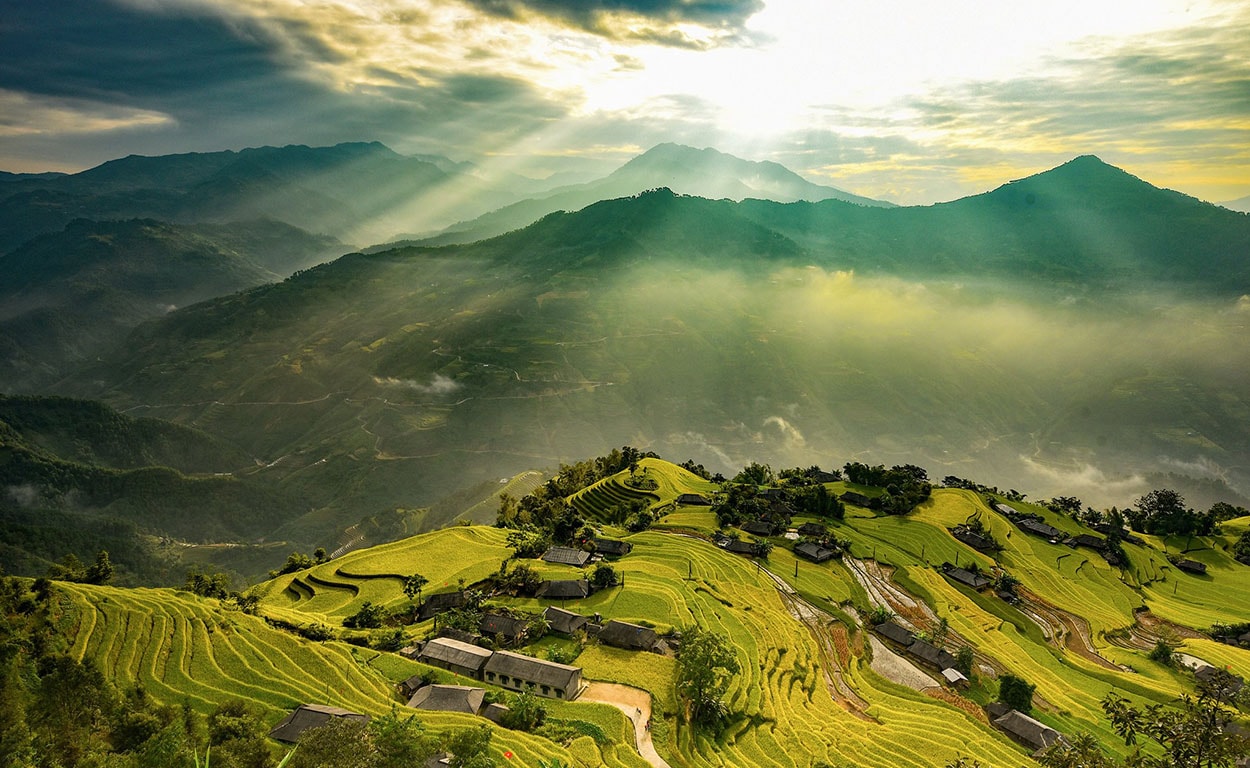 Ha Giang golden rice season Ha Giang golden rice season