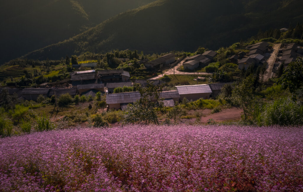 Ha Giang in November