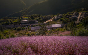 Ha Giang in November