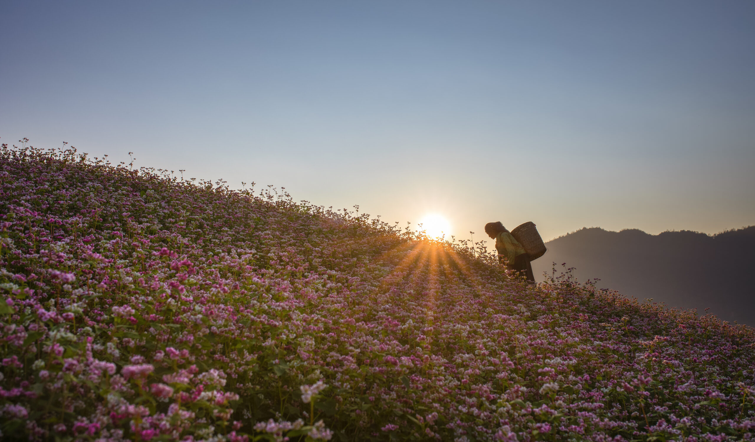 Ha Giang in November