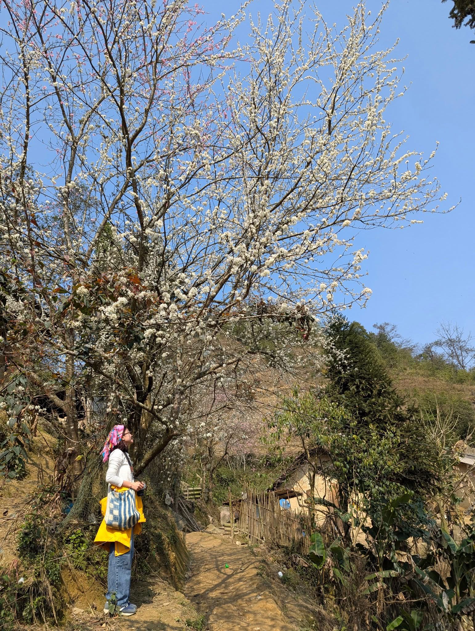 Ha Giang in March