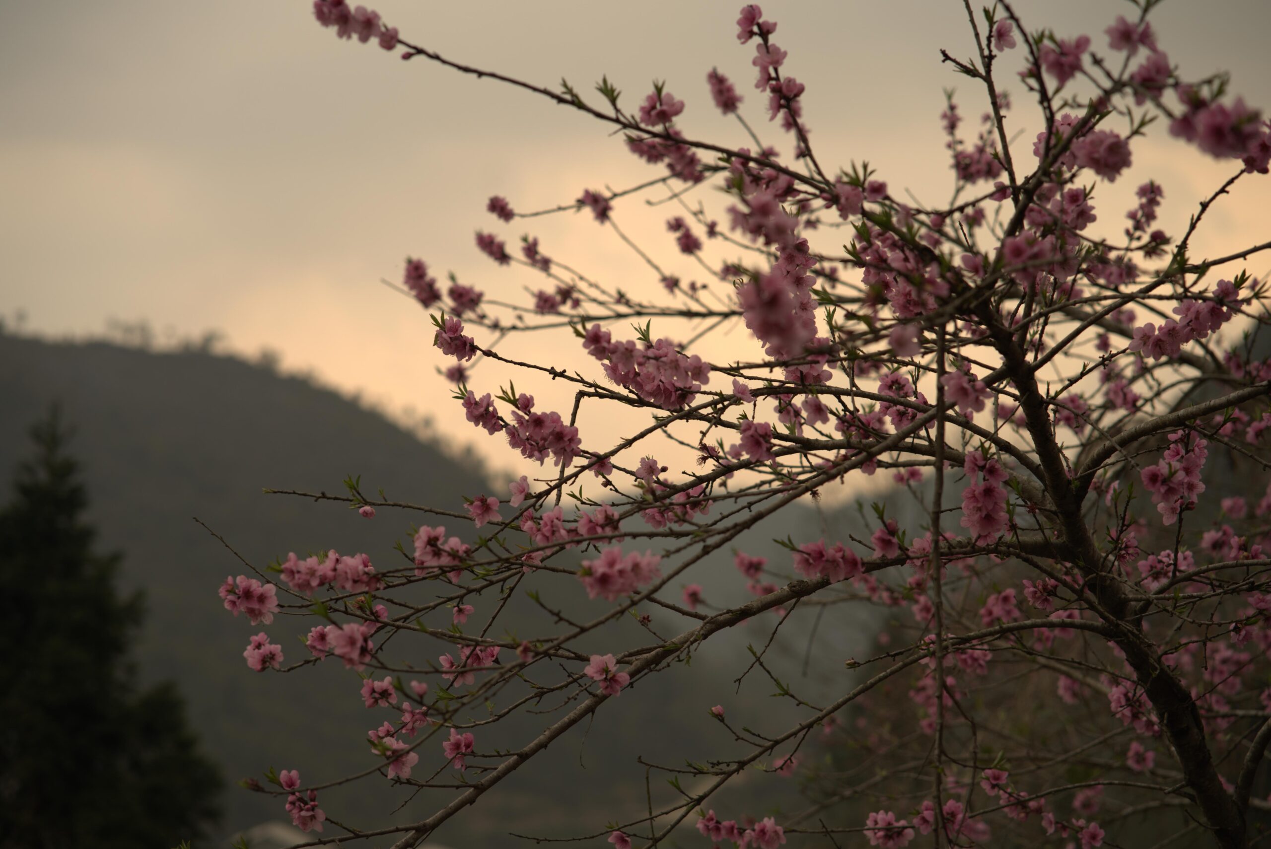 Ha Giang in March