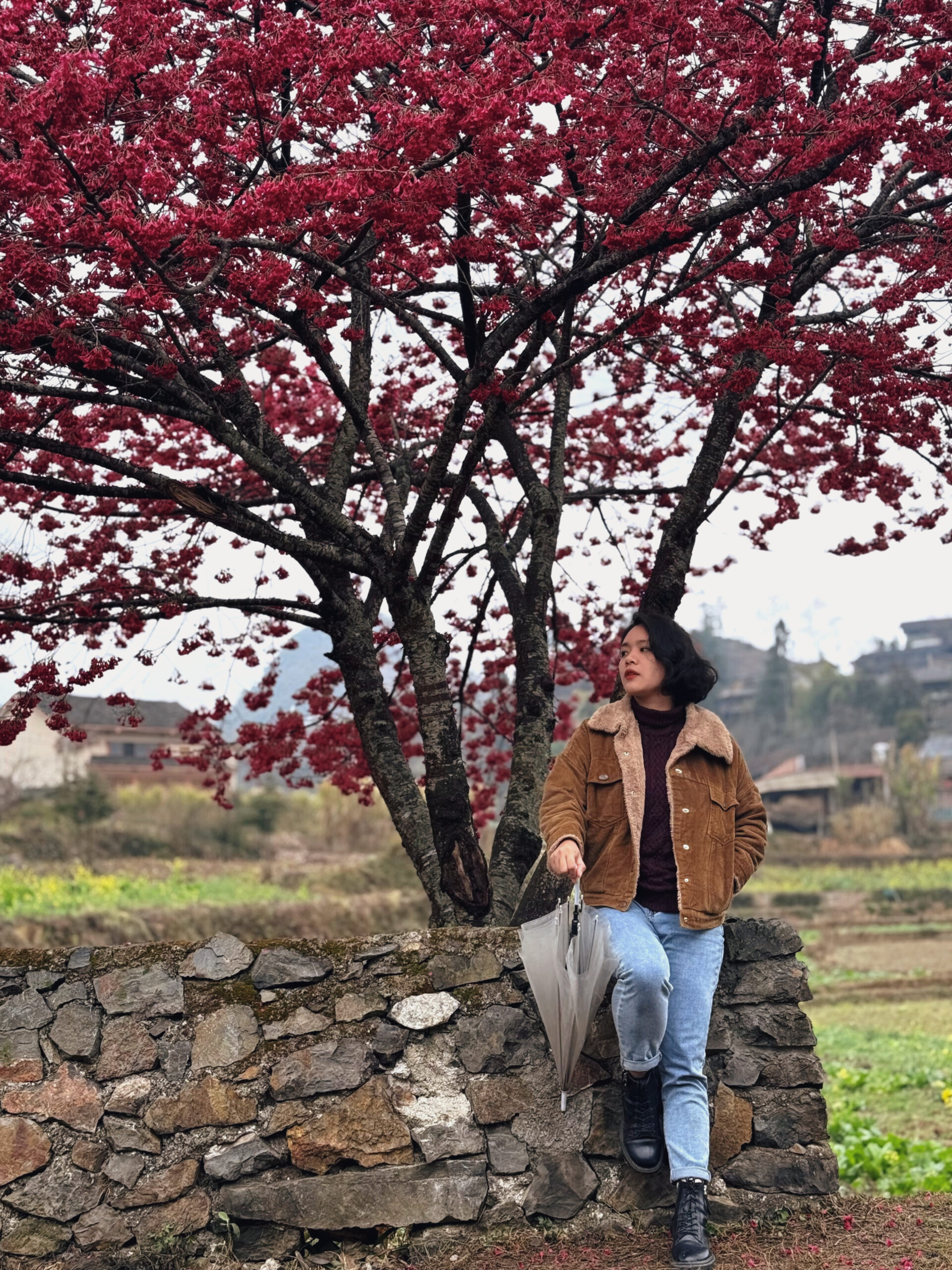Ha Giang in March