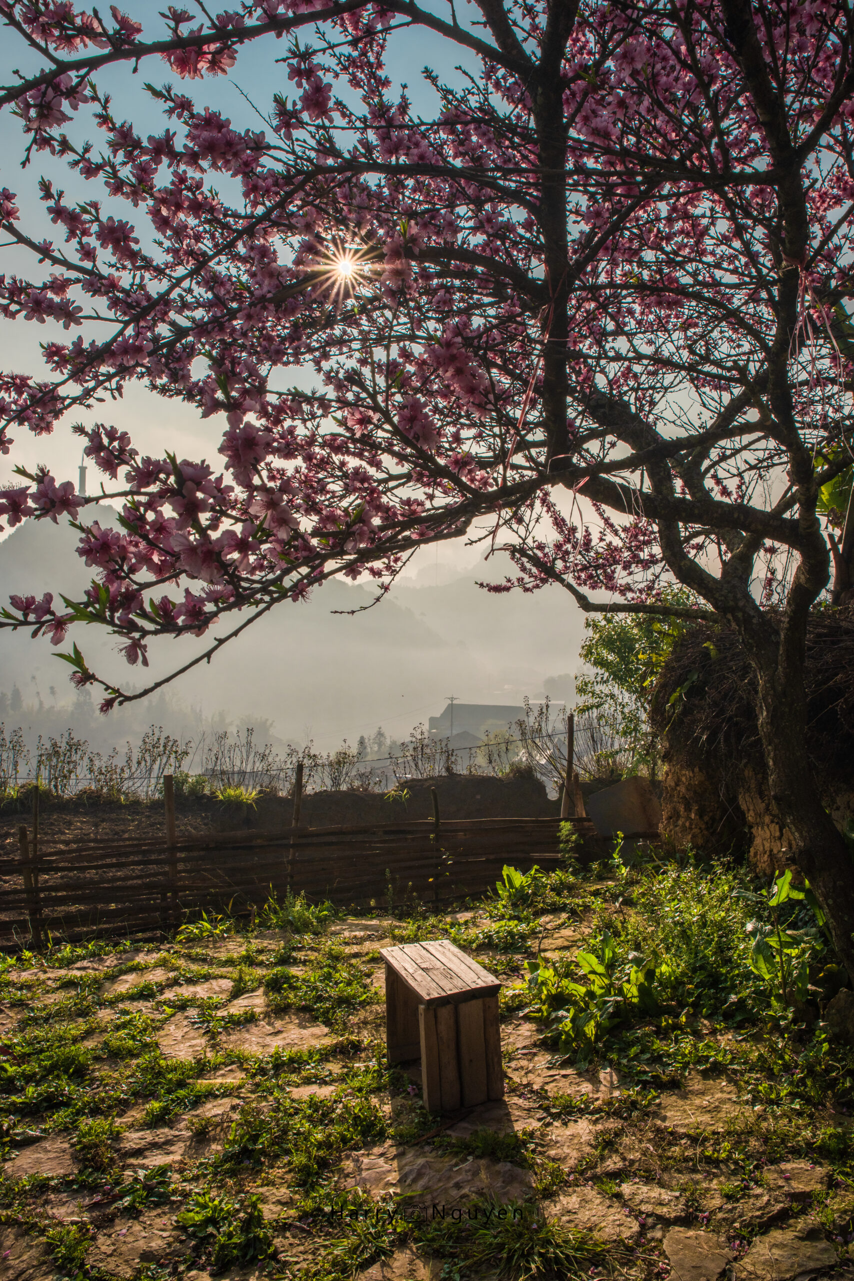 Ha Giang in March
