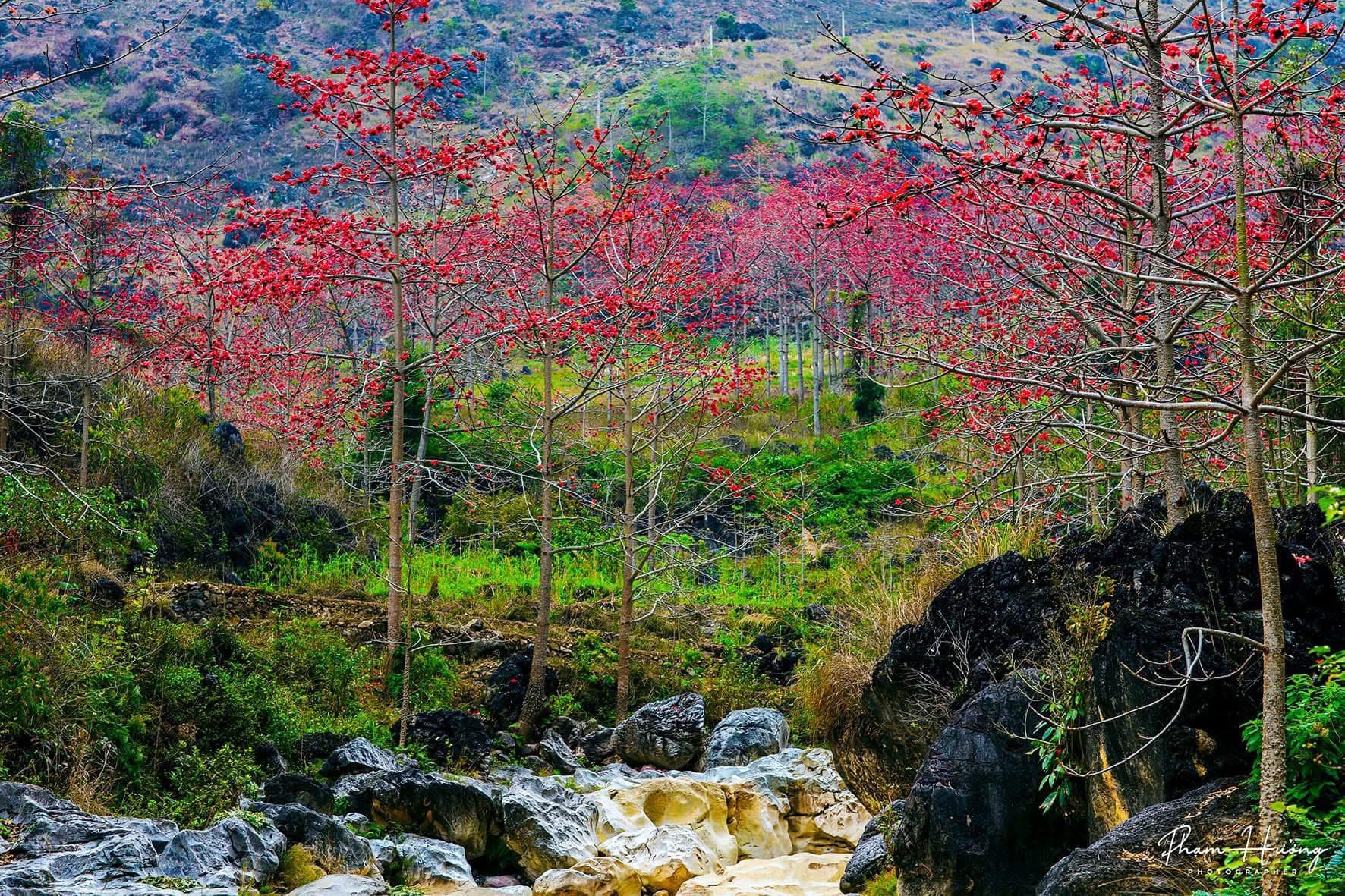 Ha Giang in April Ha Giang in April