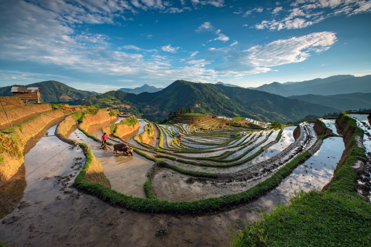 Ha Giang in May Ha Giang in May
