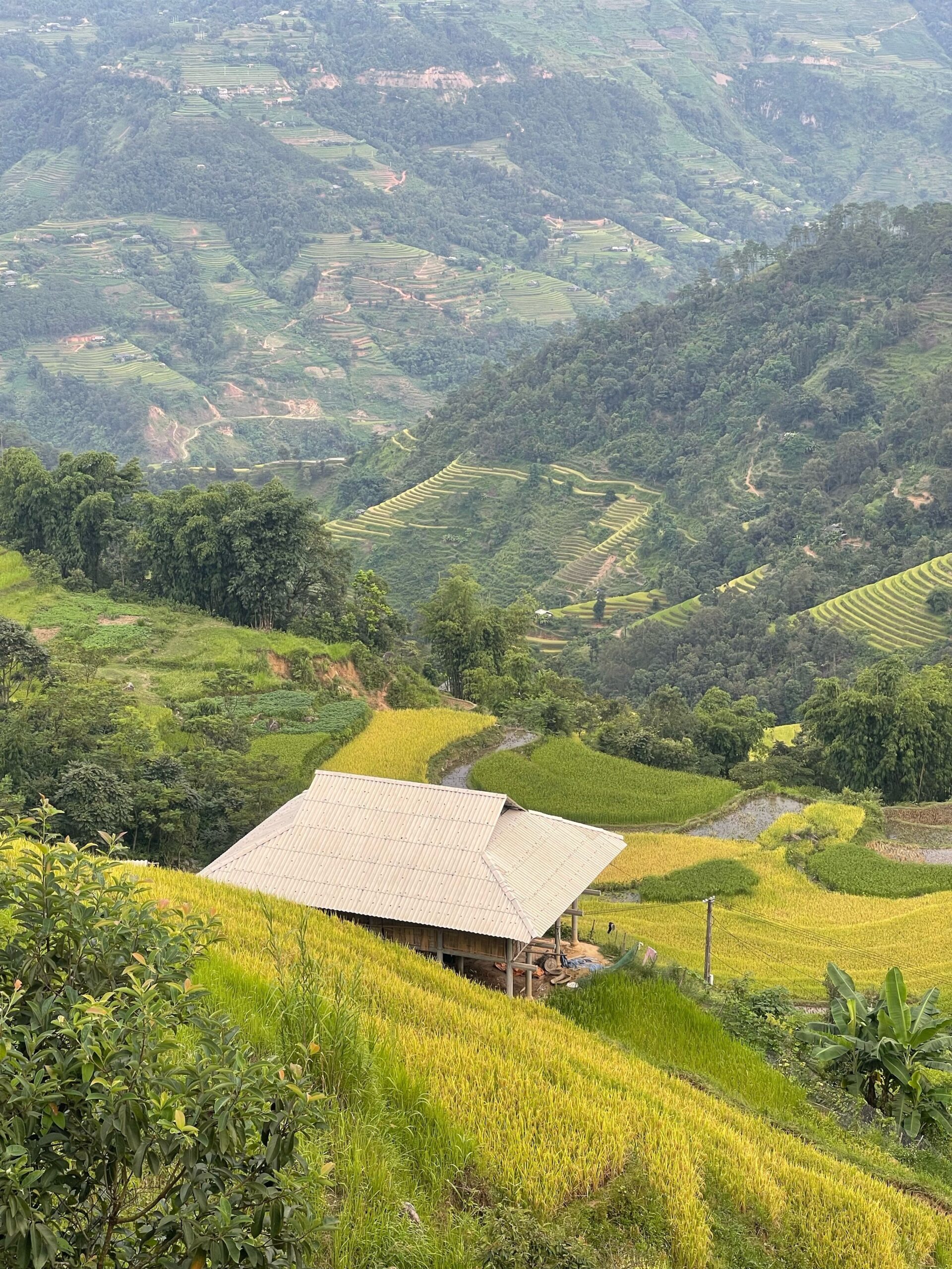 Ha Giang in June Ha Giang in June