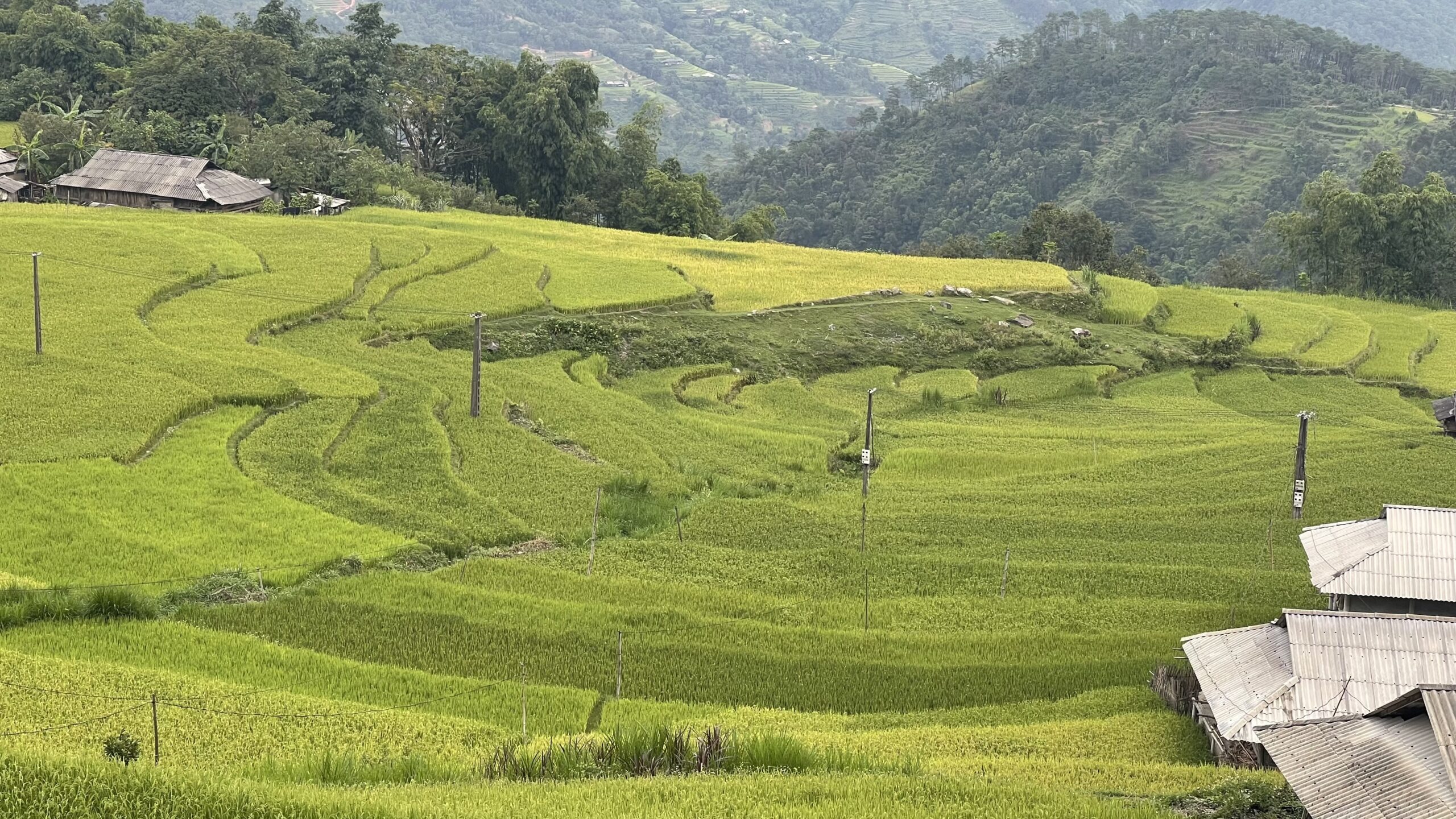 Ha Giang in August Ha Giang in August