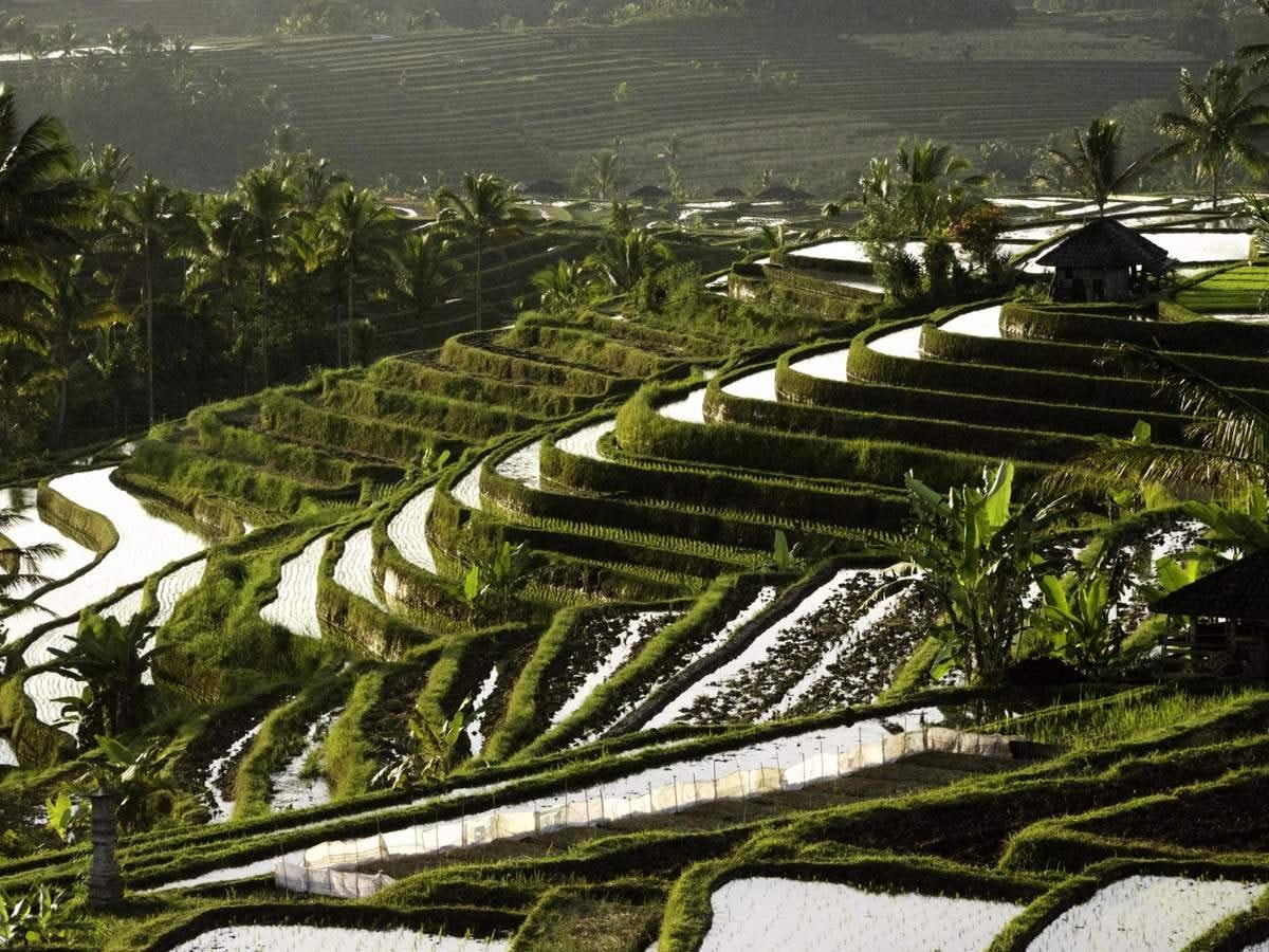 Best Time to Visit Ha Giang