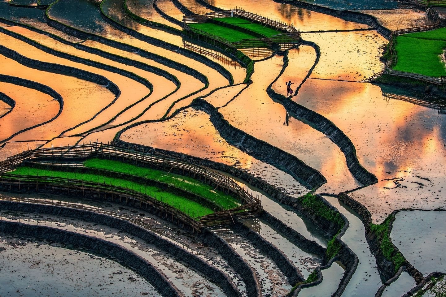 Best Time to Visit Ha Giang