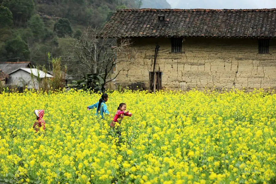 Best Time to Visit Ha Giang
