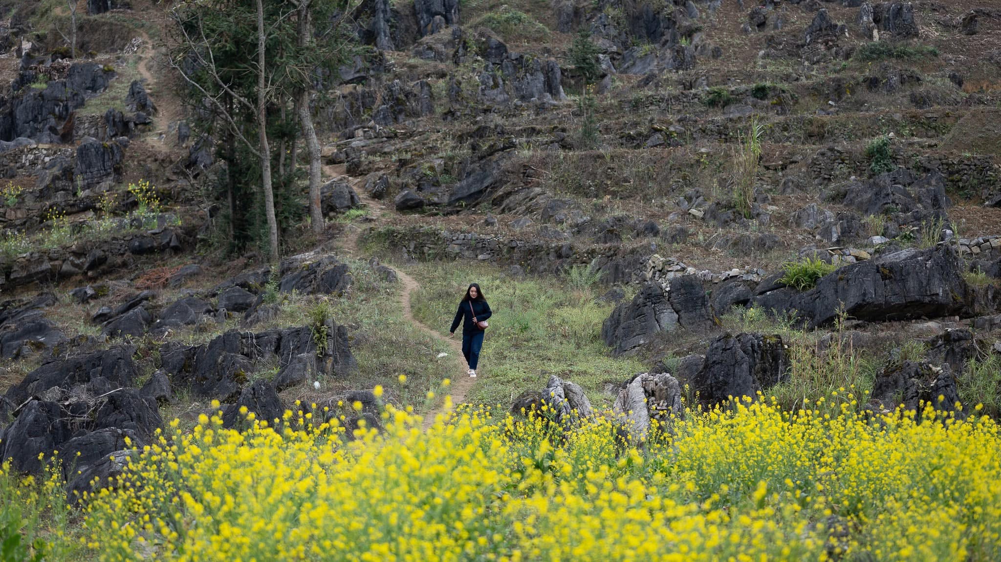 Best Time to Visit Ha Giang