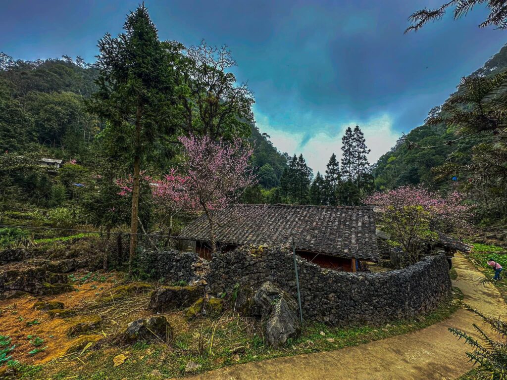 Sao Ha Village