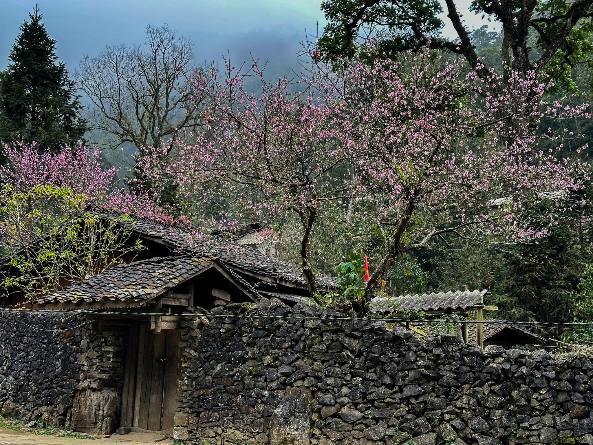 làng sảo há Sao Ha Village