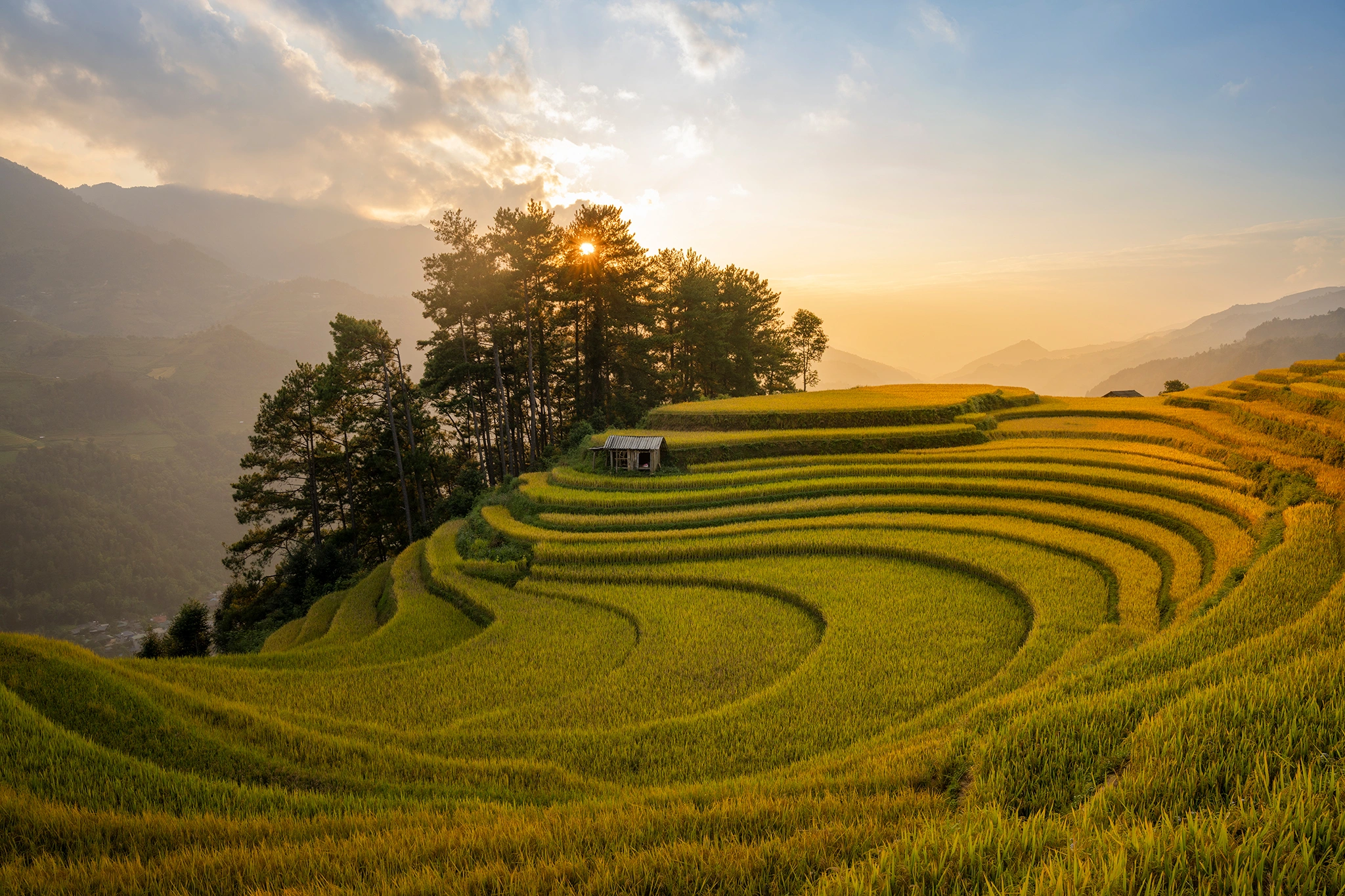 Mu Cang Chai - Ha Giang