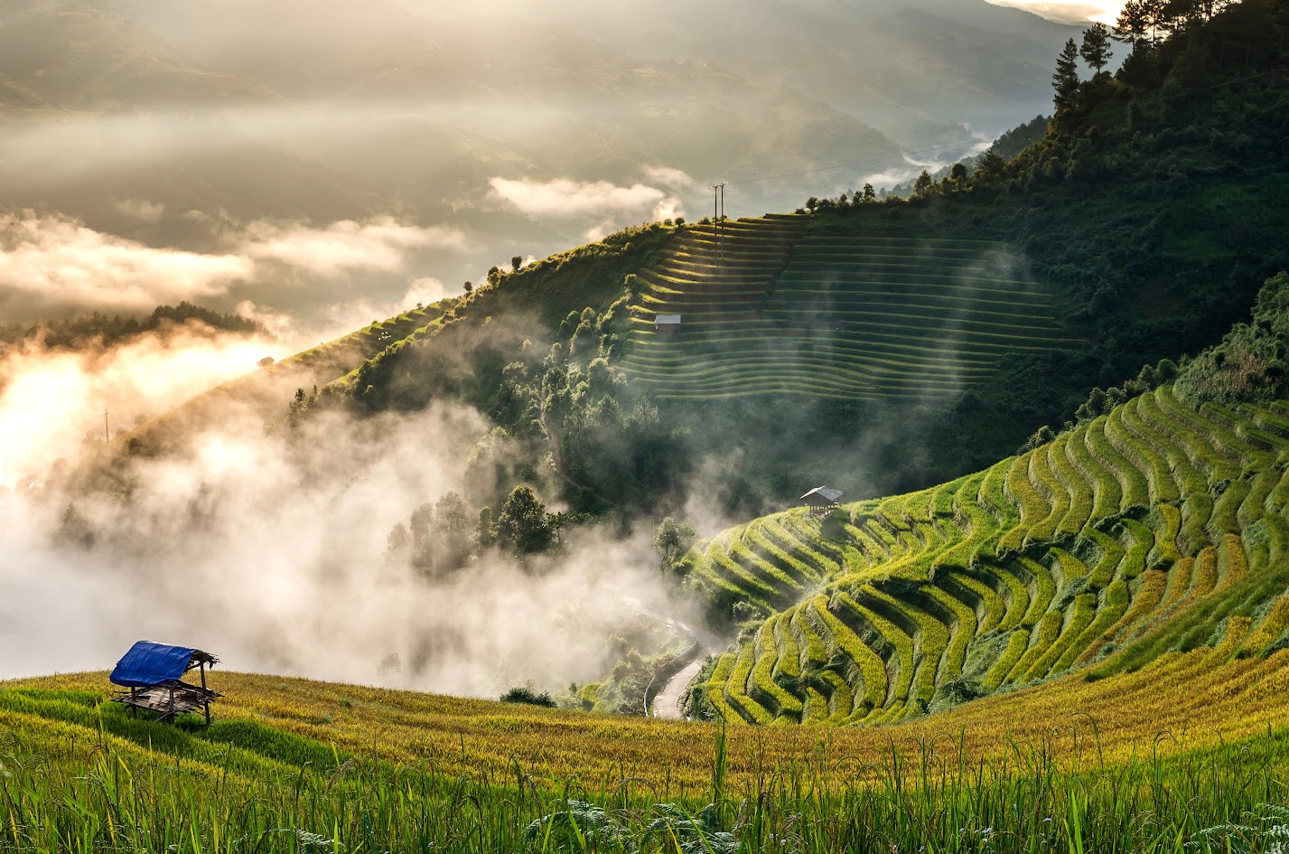 Mu Cang Chai - Ha Giang Mu Cang Chai - Ha Giang