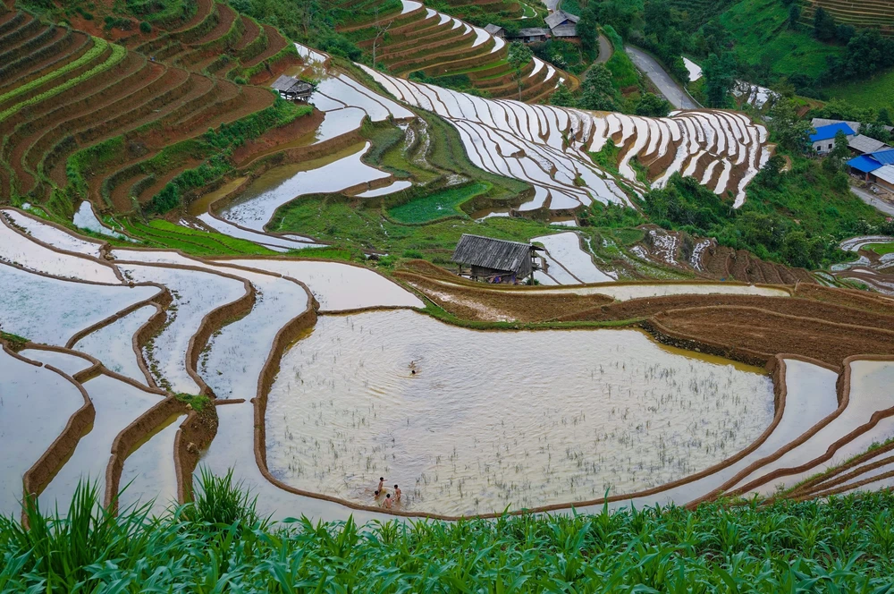 Mu Cang Chai - Ha Giang Mu Cang Chai - Ha Giang