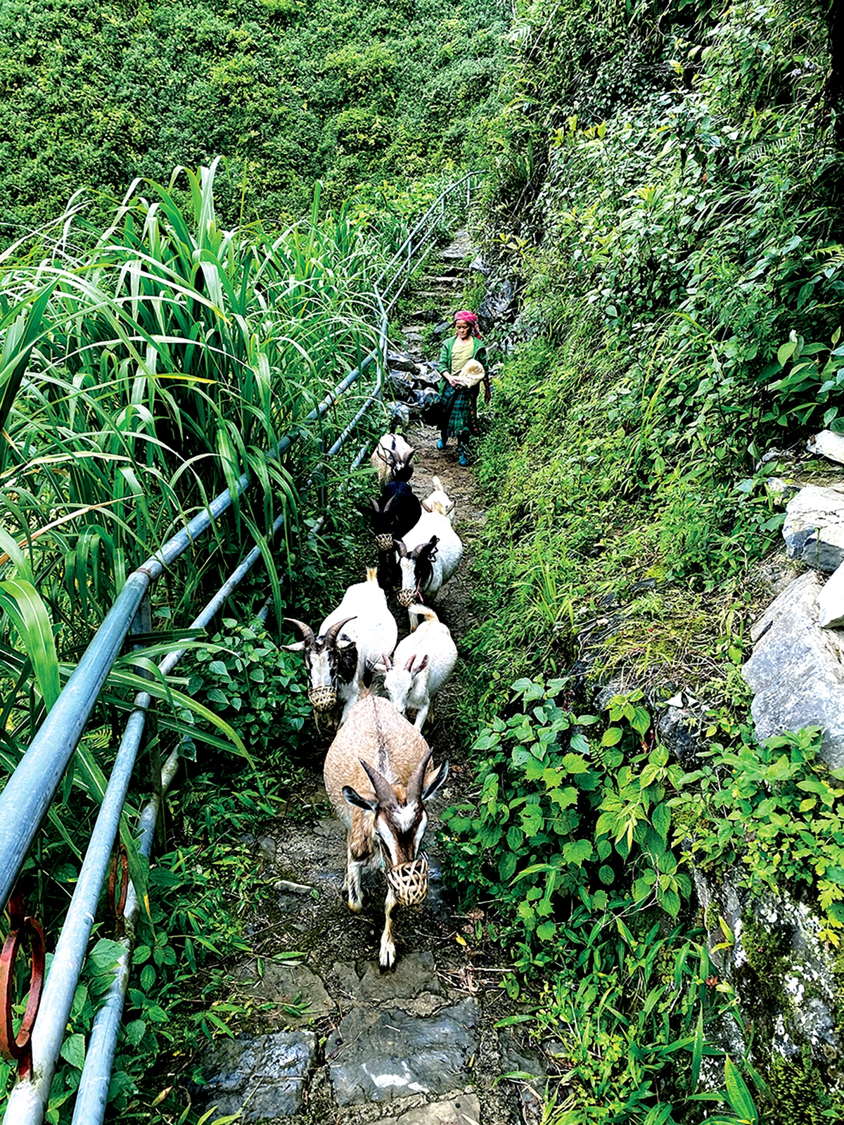 The White Cliffs of Ha Giang White Cliffs of Ha Giang