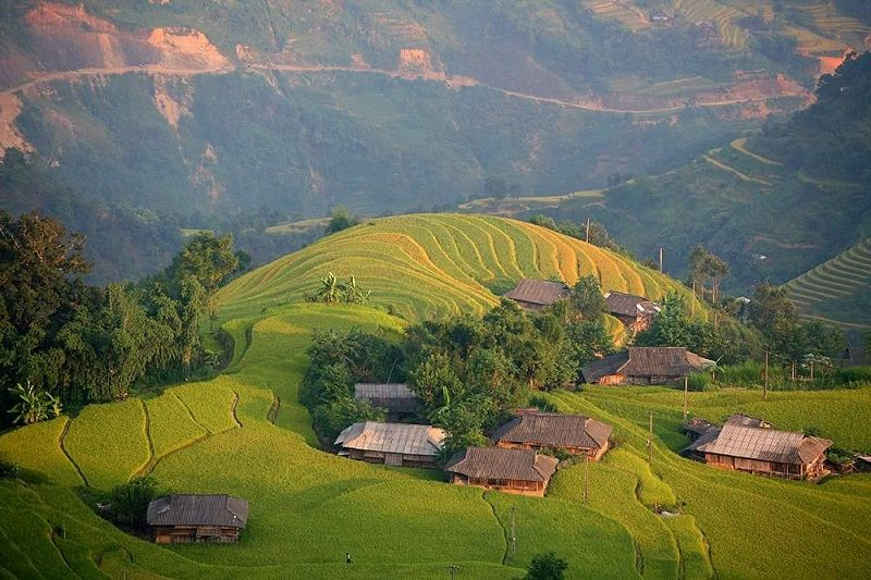 The dreamy sight of shimmering golden terraced rice fields