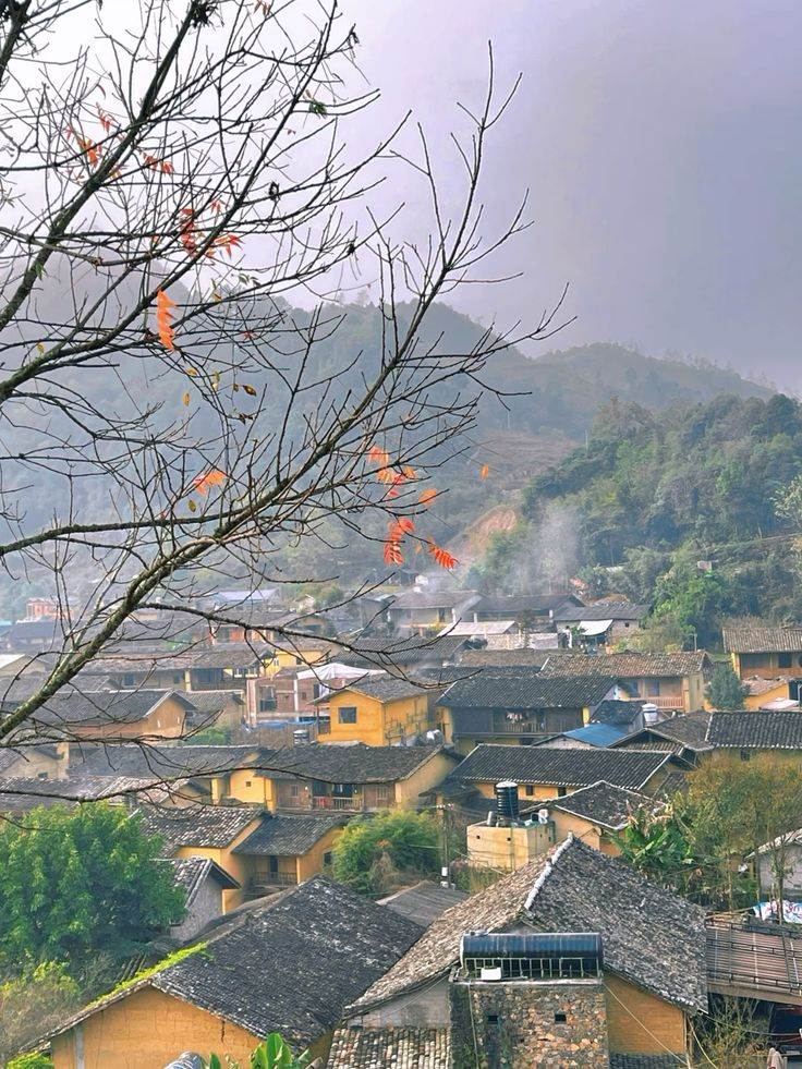 A Fairytale View over Lo Lo Chai Village – Where Ancient Rammed-Earth Houses Greet the Mist