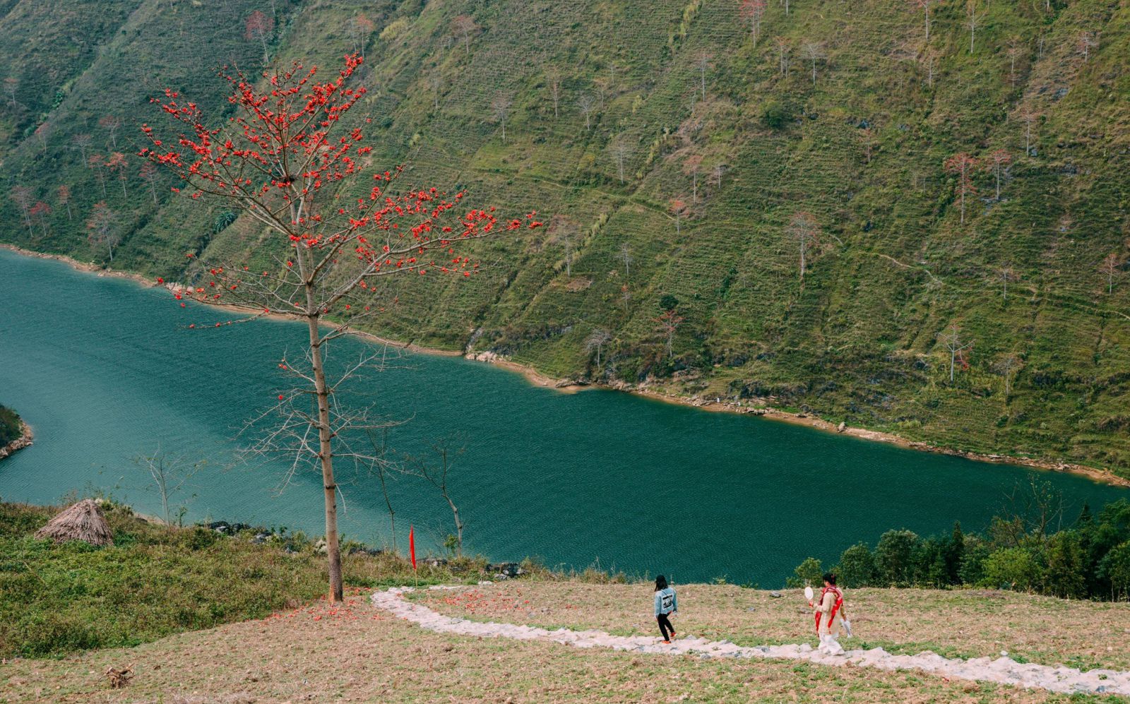 songnhoque 2
