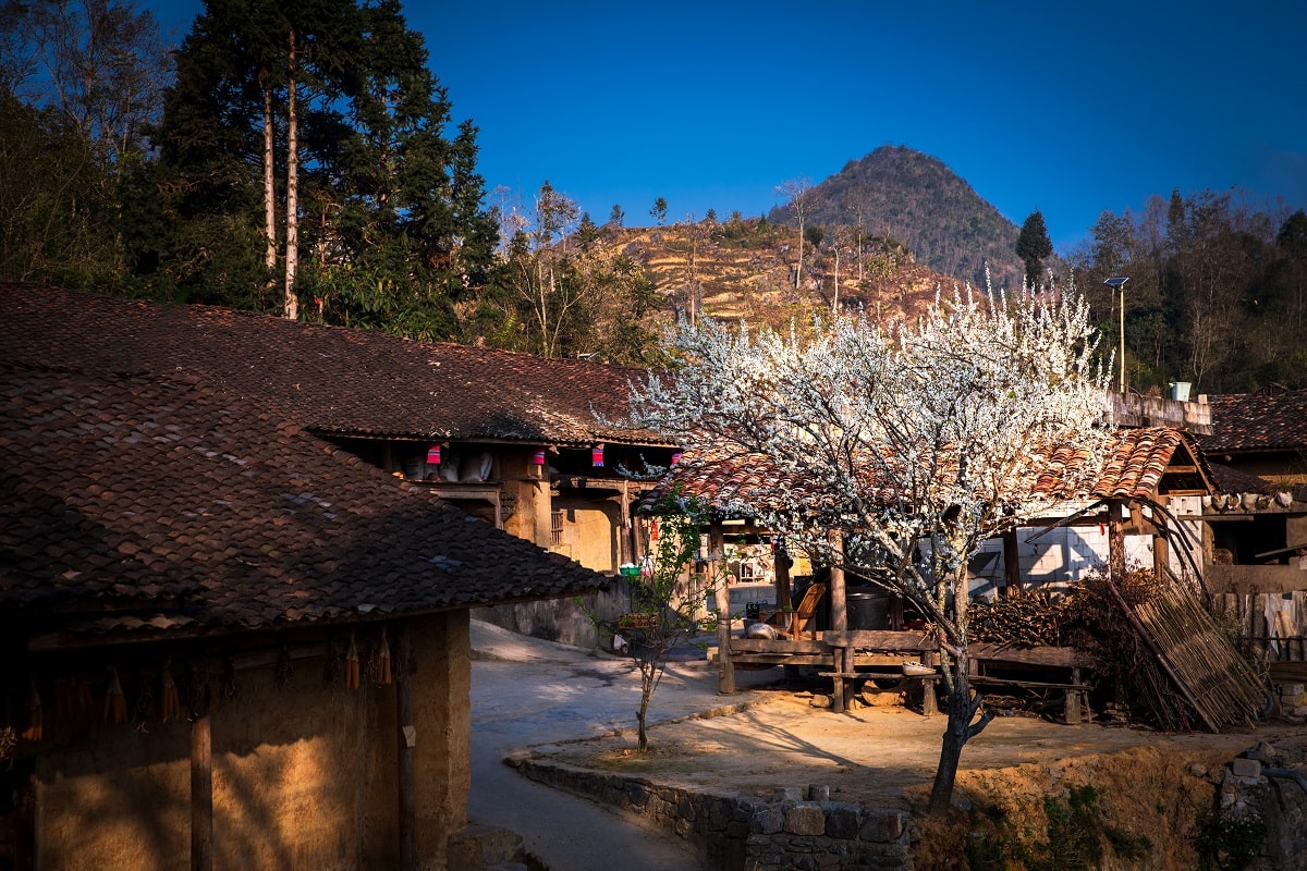 Ha Giang loop cost