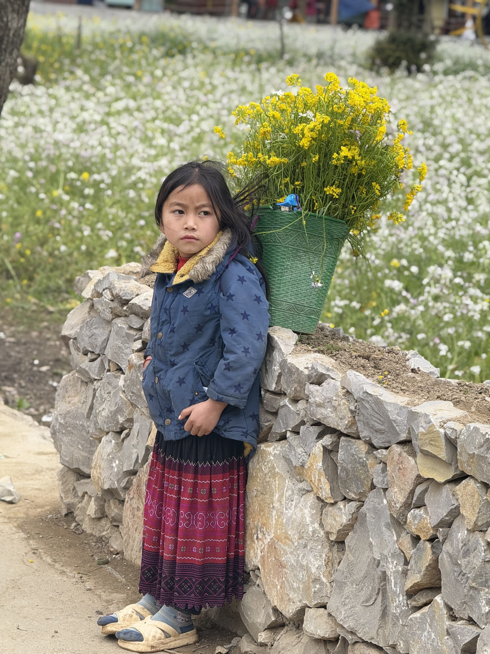 Ha Giang Loop in December