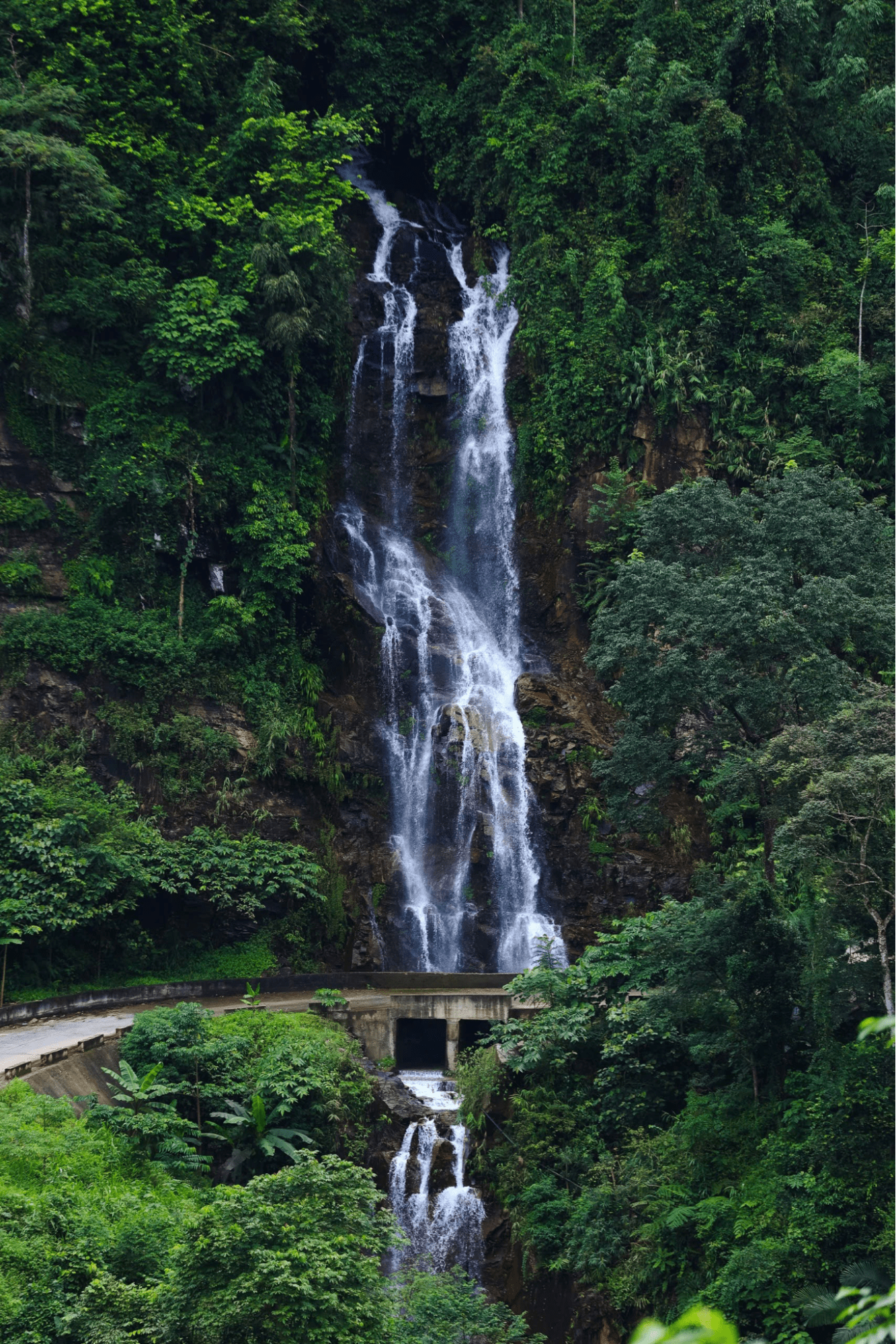 Ha Giang Loop or Sapa