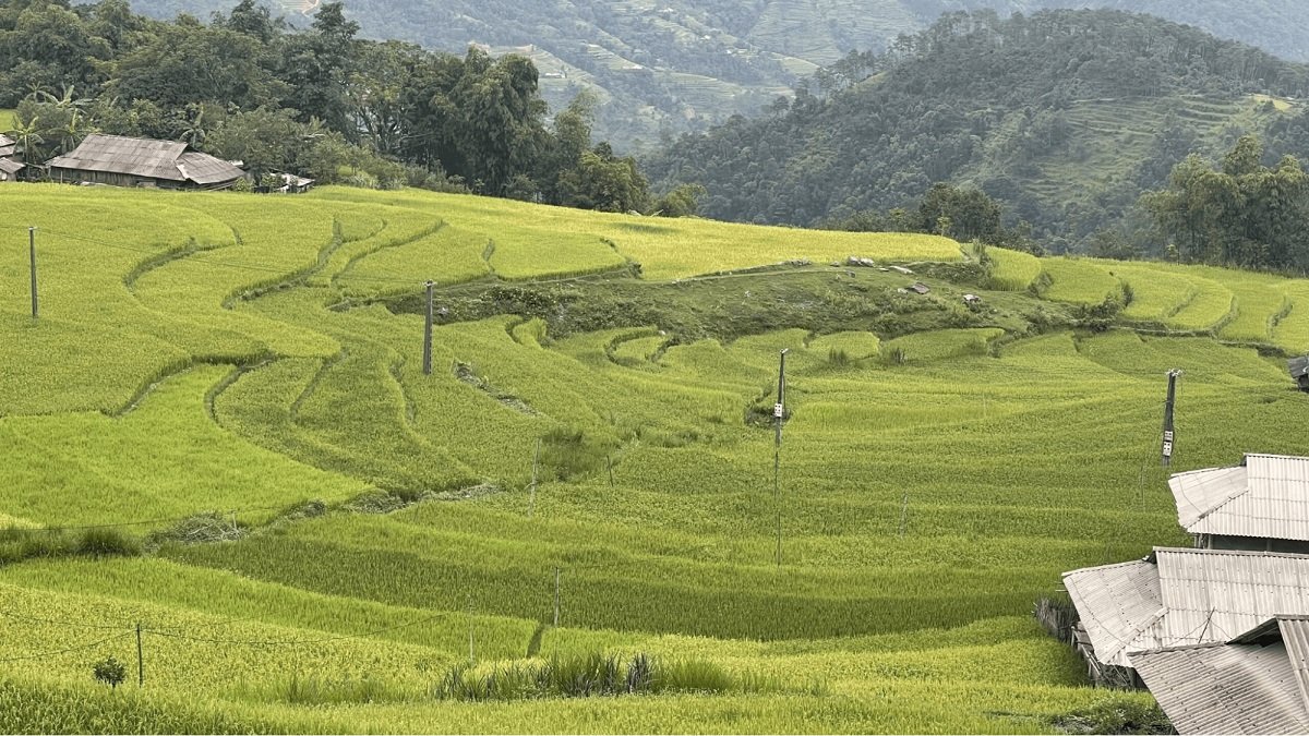 Ha Giang weather by month Ha Giang weather by month