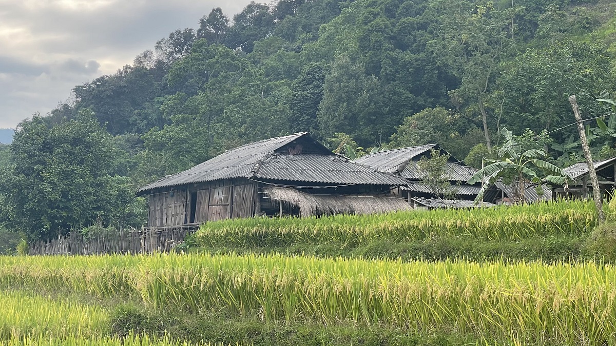 Hoang Su Phi