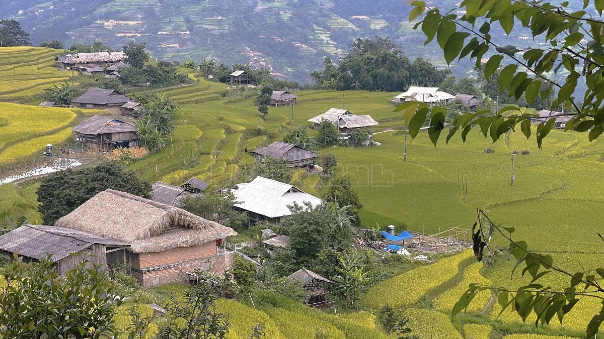 Hoang Su Phi