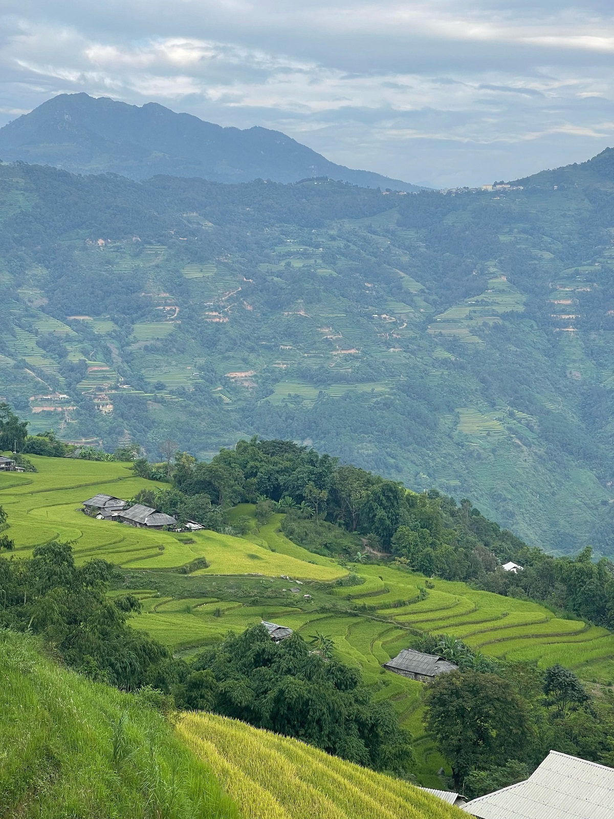 Hoang Su Phi