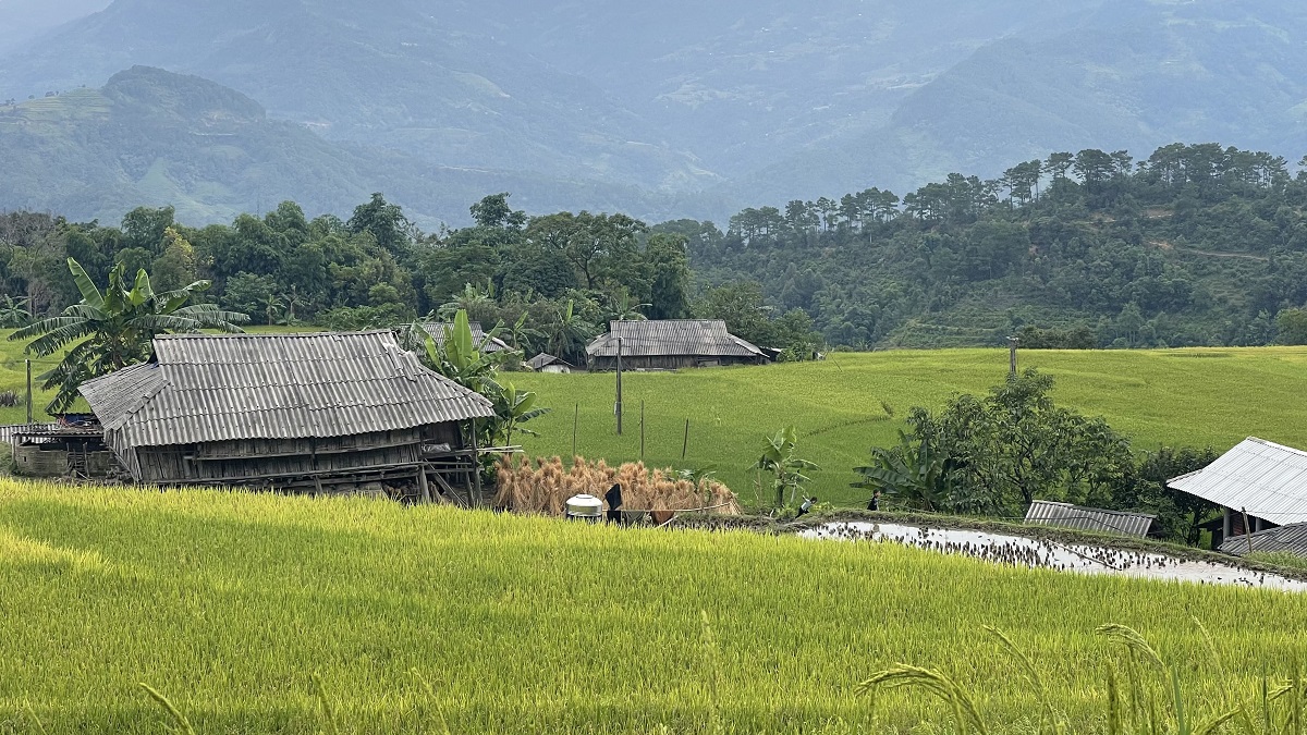 Hoang Su Phi