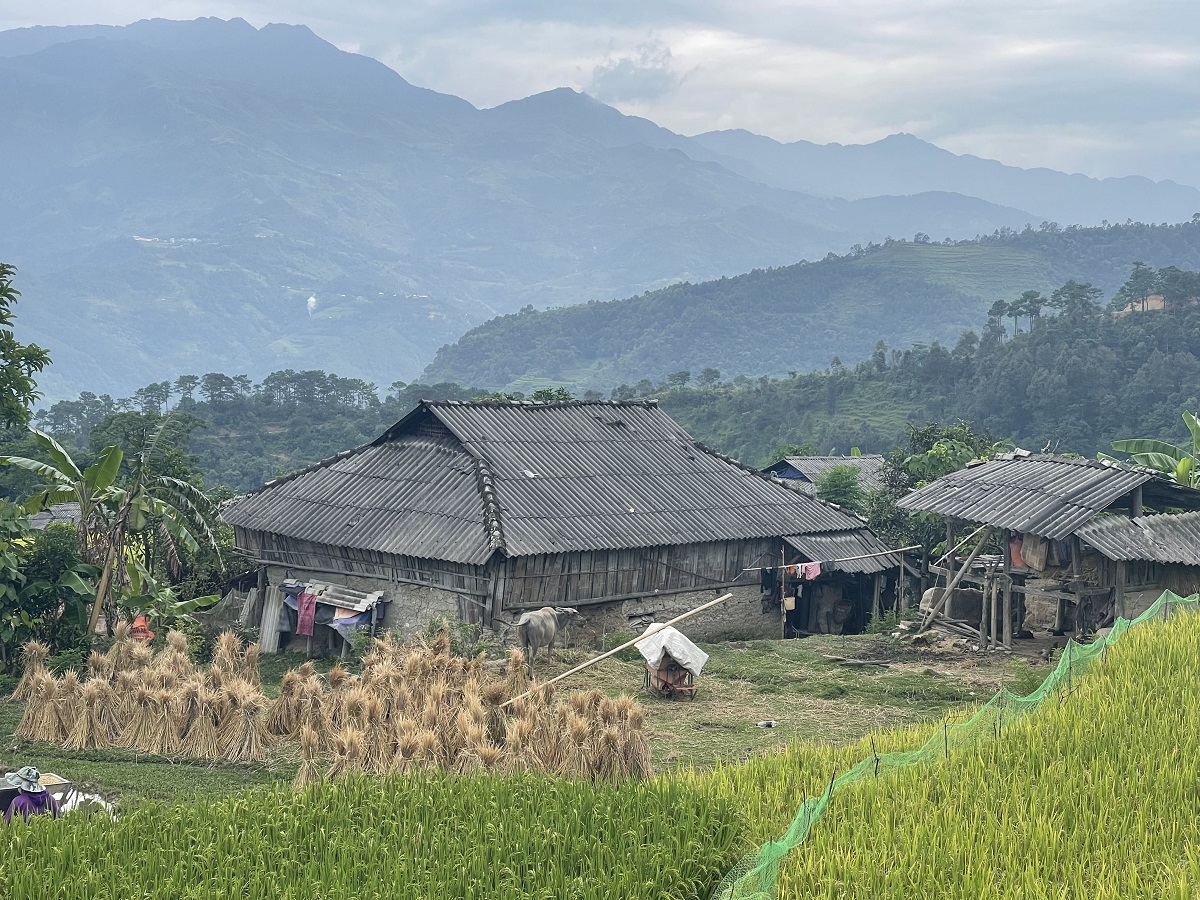 Hoang Su Phi