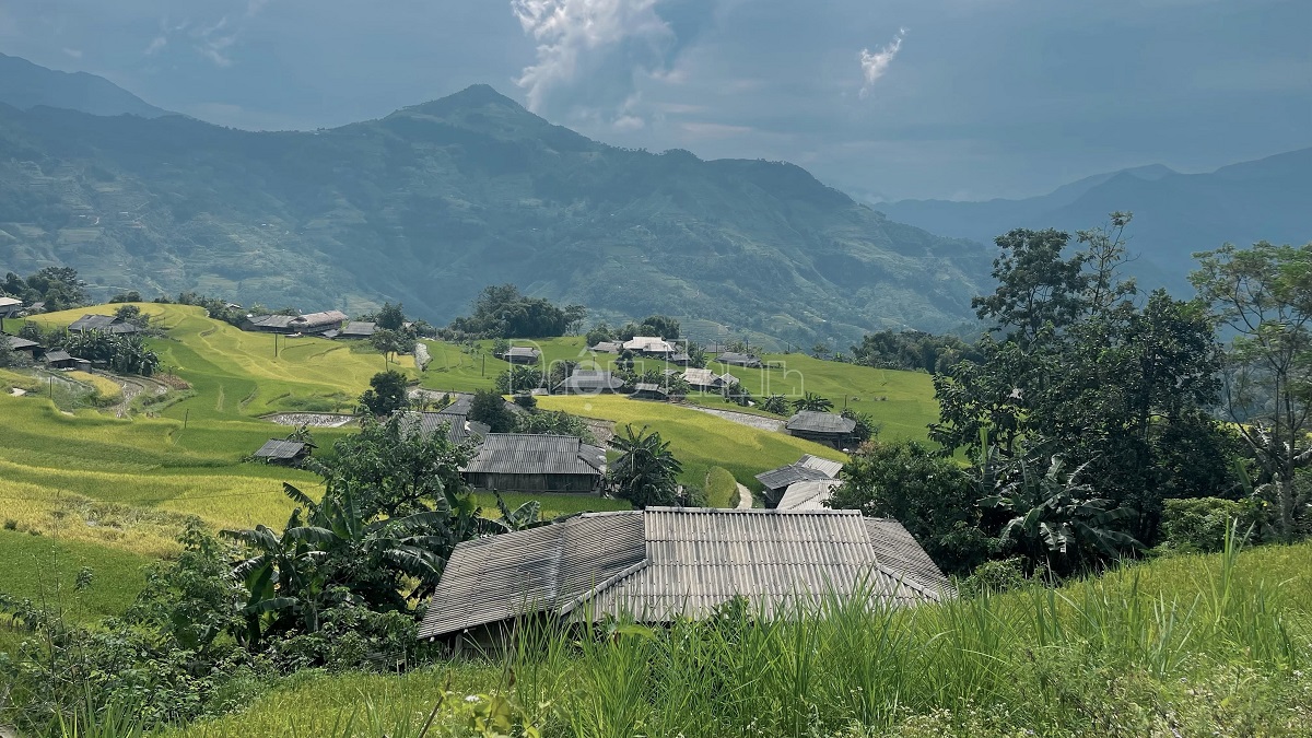 Hoang Su Phi