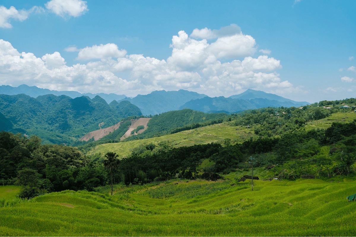 Pu Luong Pu Luong