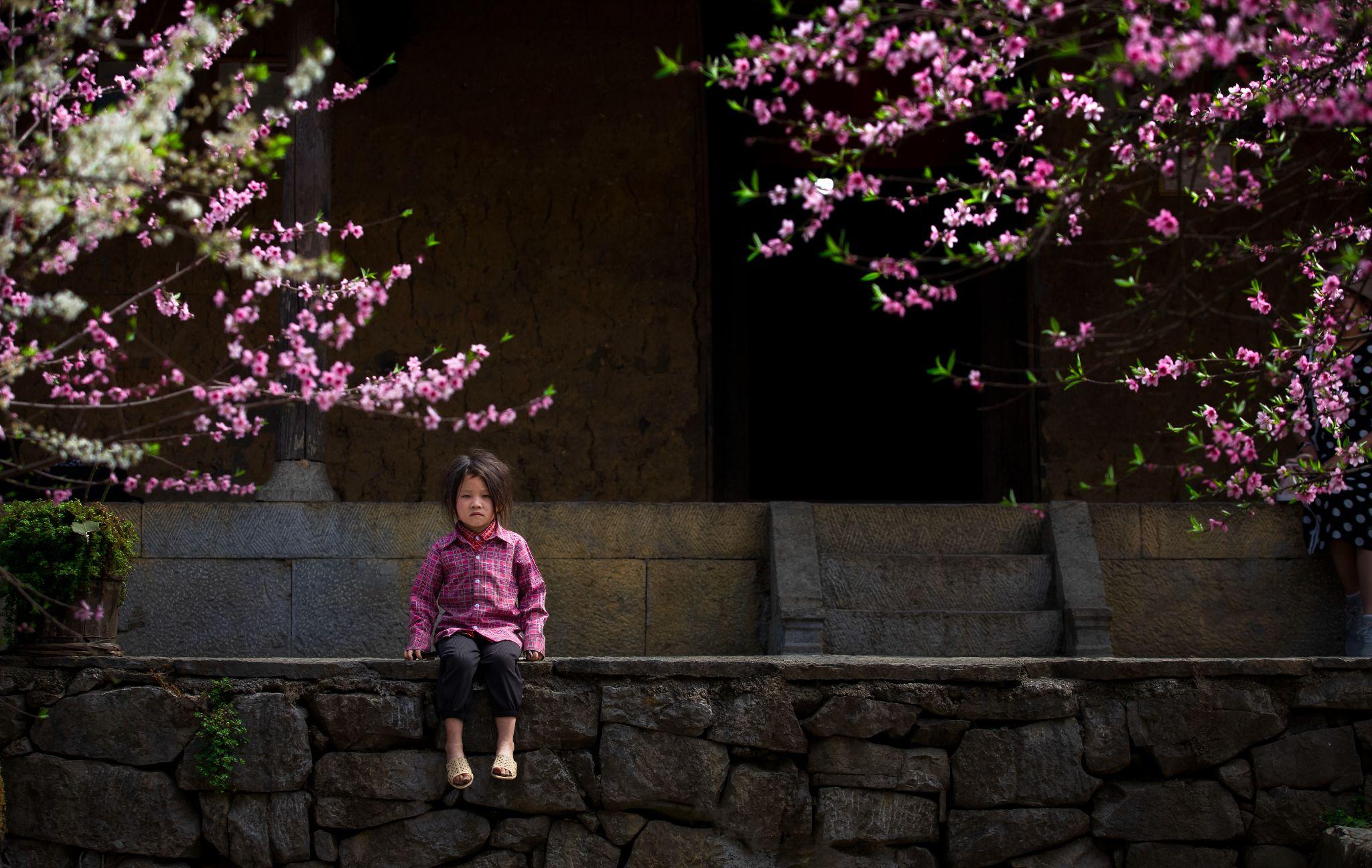 north vietnam places to visit