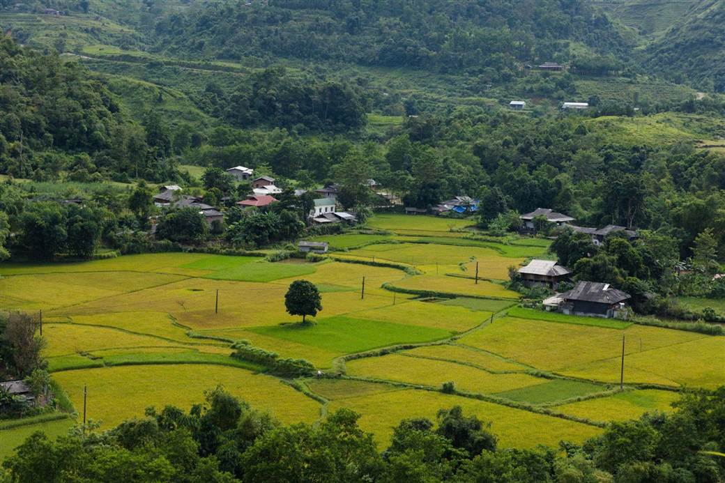 Ha Giang Loop in july