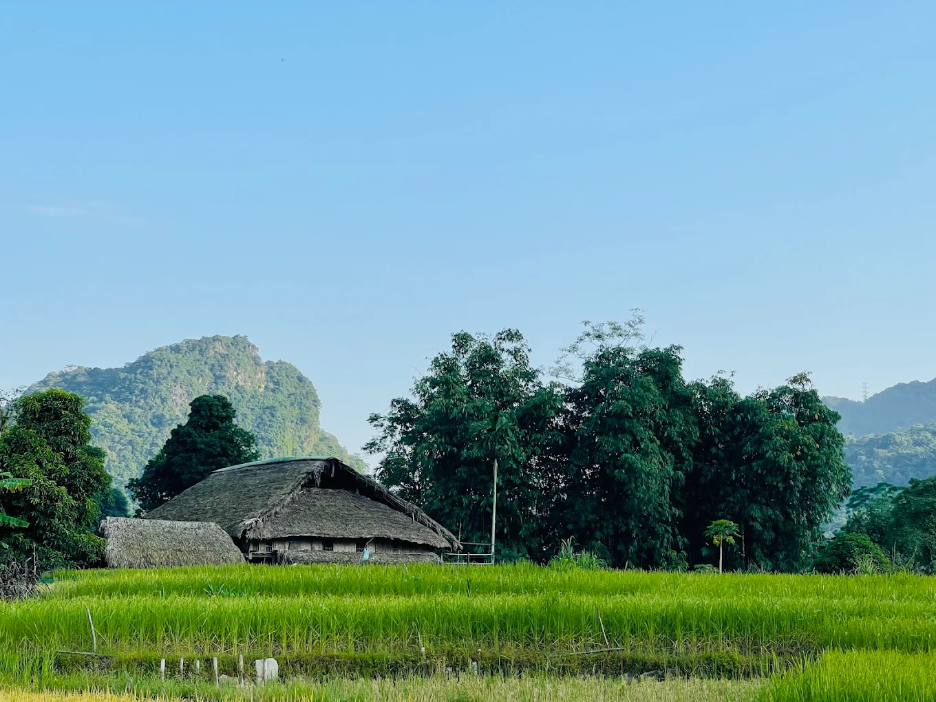 Ha Giang homestays with scenic views